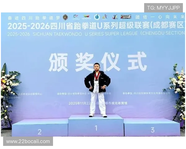 2026年成都跆拳道比赛：展现武道精神与竞技风采